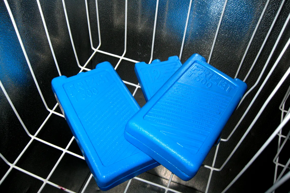 Blue reusable cold packs in a freezer, ready to wrap in a cloth for the cheek after an extraction