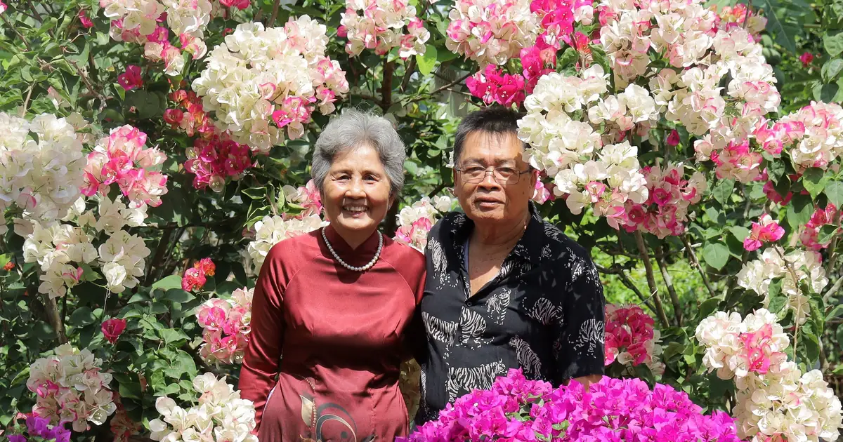 A smiling senior Asian couple among colourful bougainvillea flowers