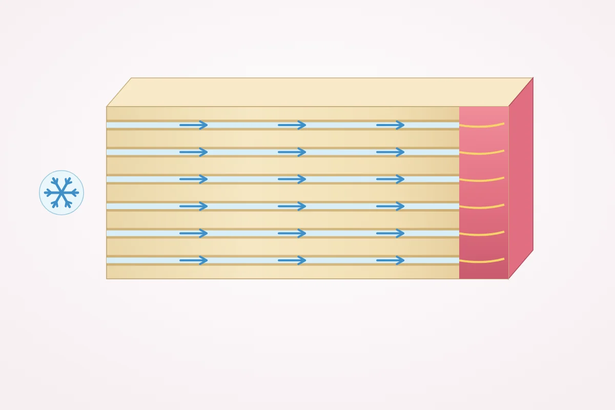 Illustration of magnified dentin: cold makes the fluid in open tubules move toward the nerve