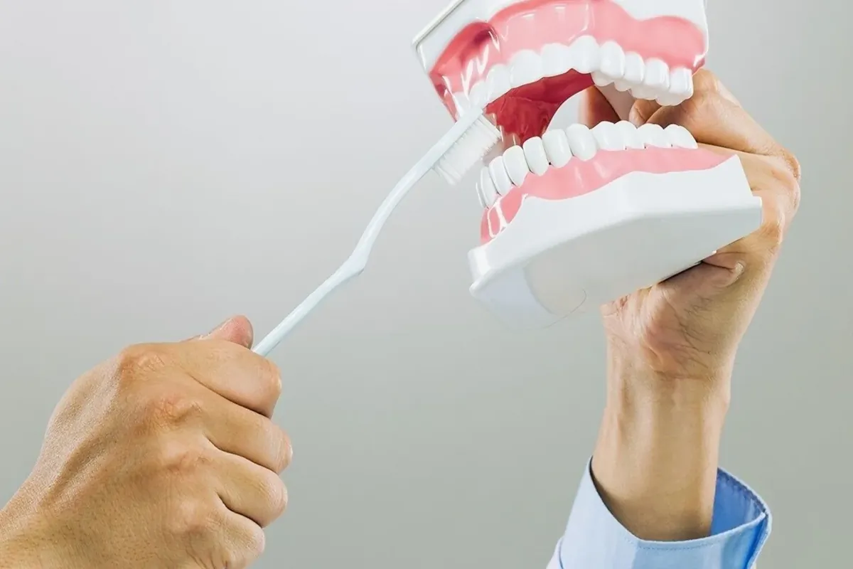 A hand demonstrating toothbrushing on a full dental model