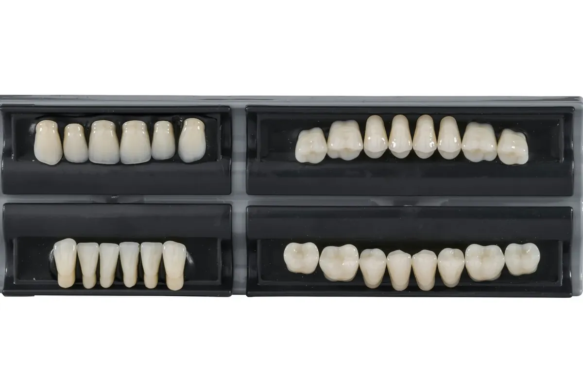 Four sets of prosthetic denture teeth in black display cases
